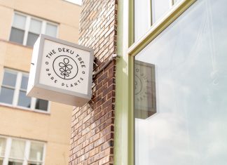 Rare Roots | The Deku Tree