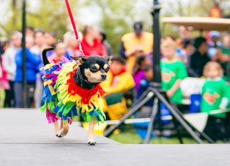 6 Things To Do | May