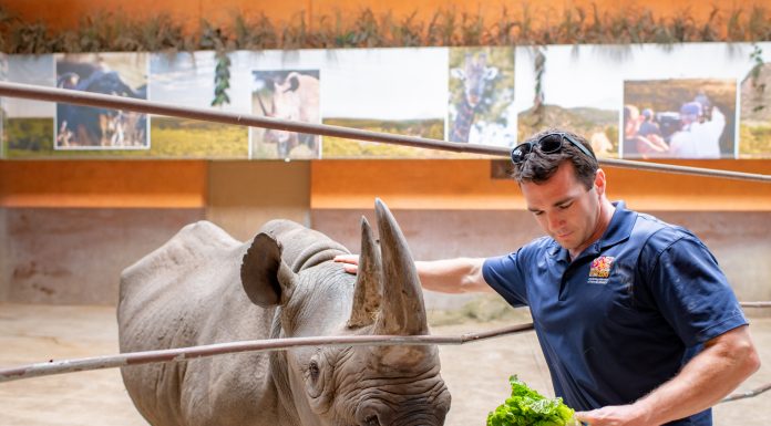 Hang Out With | Janelle Brandt and Louden Wright