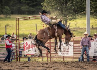 6 Things To Do | August