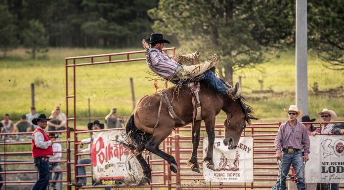 6 Things To Do | August