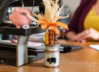 605 Profile // Cagney Effling