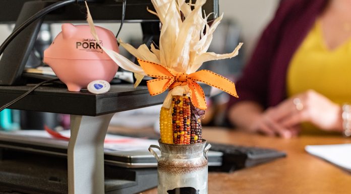 605 Profile // Cagney Effling