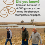sdcorn.org (1)