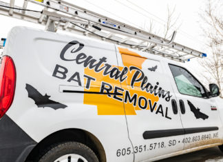 605 Tries // Central Plains Bat Removal
