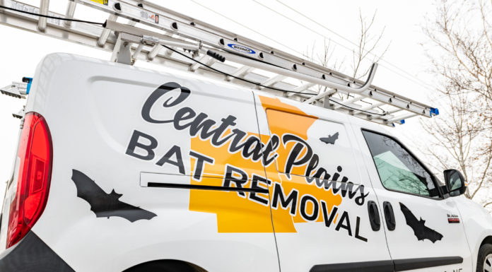 605 Tries // Central Plains Bat Removal