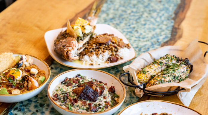 605 Spotlight // Roots of Brasil