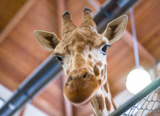 605 Profile // Becky Dewitz