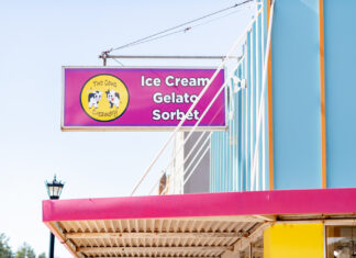 Meet the Creative // Melissa Holt