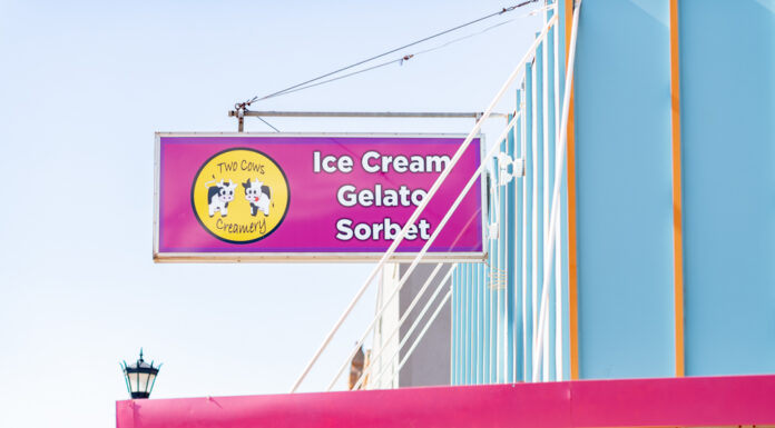 Meet the Creative // Melissa Holt