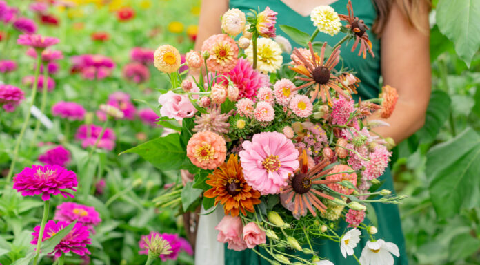 Beauty In Bloom // Fleurish Flower Farm