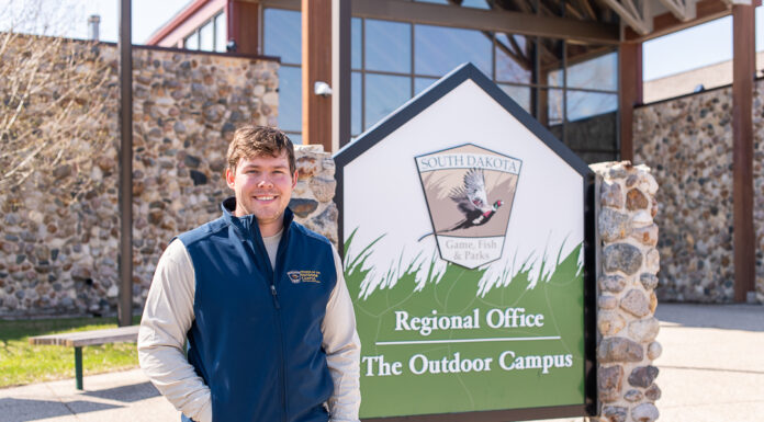 605 Profile // Joe Salvati