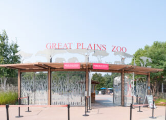 Hang Out With // Audrey Otto-Pepper