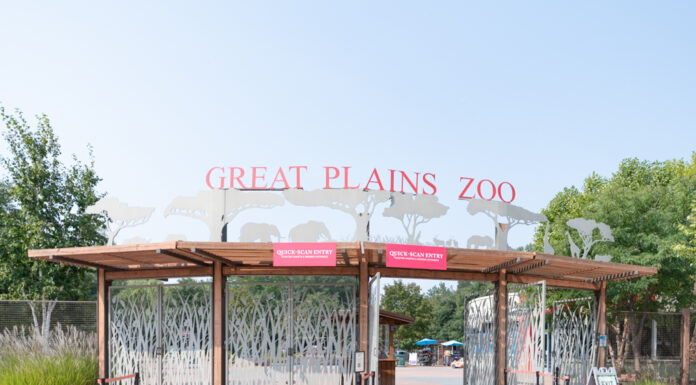 Hang Out With // Audrey Otto-Pepper