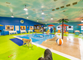 605 Tries // The Splash Bark by SDK