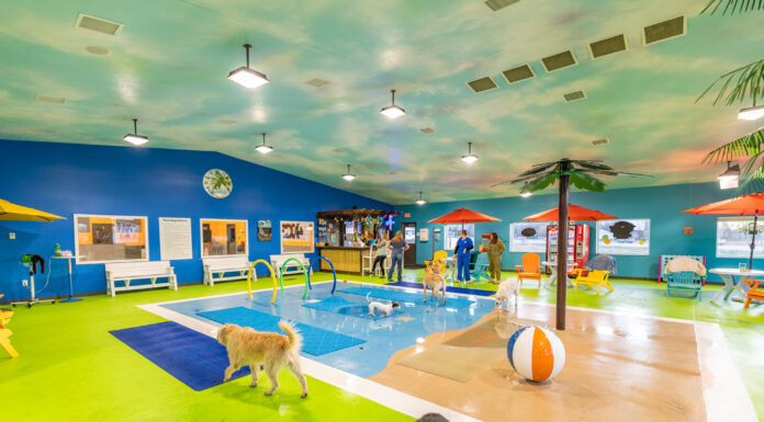 605 Tries // The Splash Bark by SDK