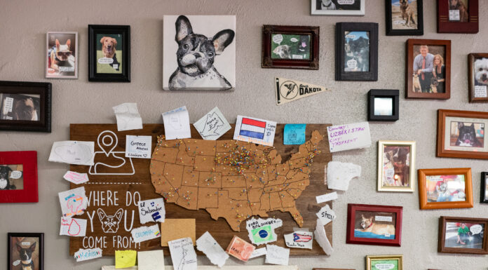 A Slice of the Neighborhood // Sunny’s Pizzeria