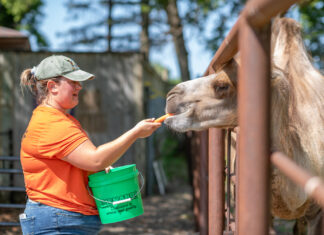 Hang Out With // Olivia Wulff