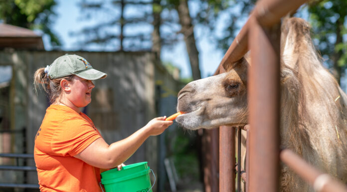 Hang Out With // Olivia Wulff