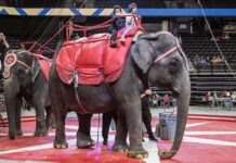 The 605 Show Podcast // Episode 71