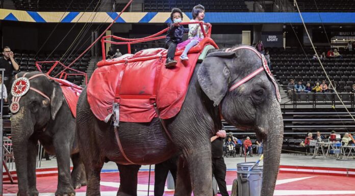 The 605 Show Podcast // Episode 71