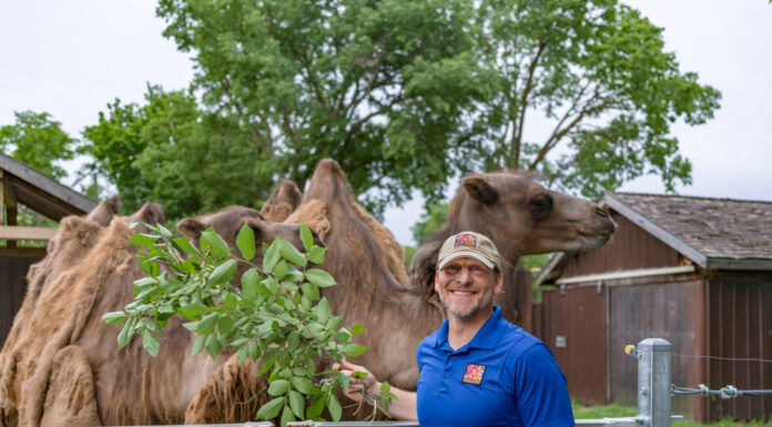 Hang Out With // Joel Locke