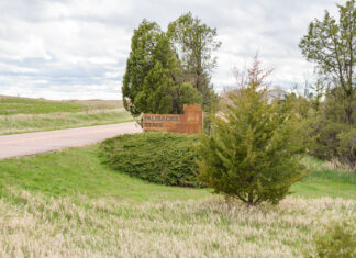 605 Spotlight // Palisades State Park