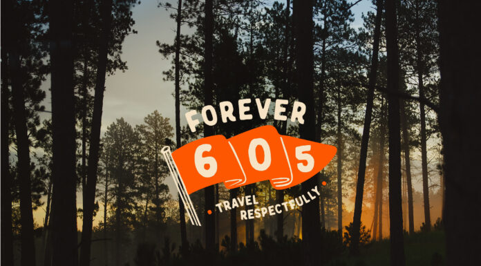 Explore Like a Wanderer, Care Like a Steward // Forever 605