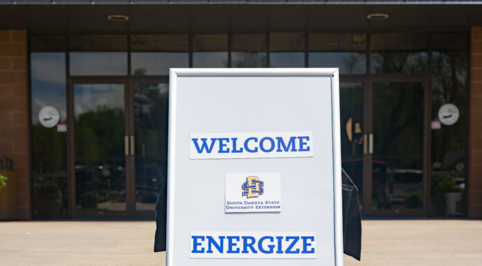 Understanding the New Folks in Town