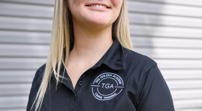 605 Spotlight // The Golden Academy