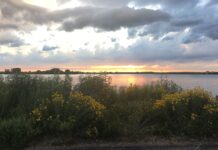 5 Things to Check Out at Pelican State Park