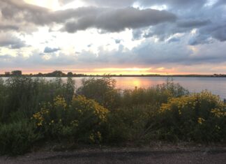 5 Things to Check Out at Pelican State Park