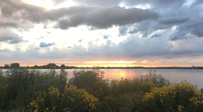 5 Things to Check Out at Pelican State Park