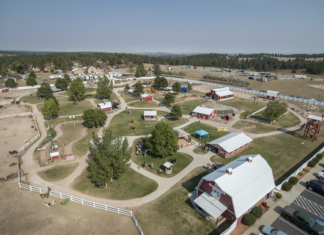 A Fall-Filled Adventure // 11th Annual Fall Festival at Old MacDonald’s Farm