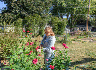 605 Profile // Grace Nicolaus