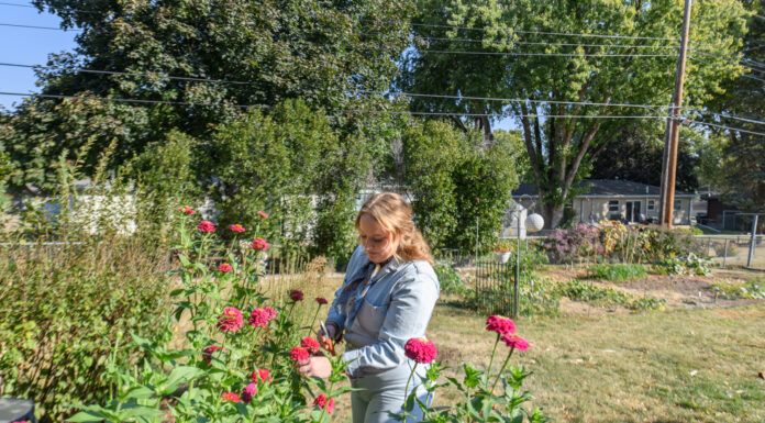 605 Profile // Grace Nicolaus