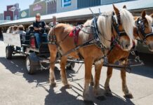 Remote Retreat // Joy Ranch