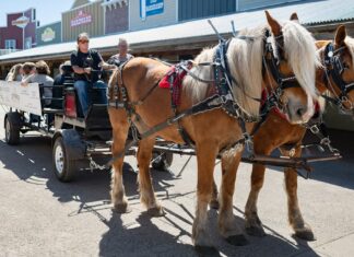 Remote Retreat // Joy Ranch