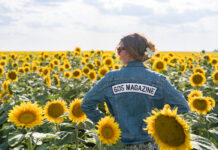 605 Stops By // The Sunflower Festival