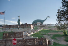 605 Spotlight // Dinosaur Park