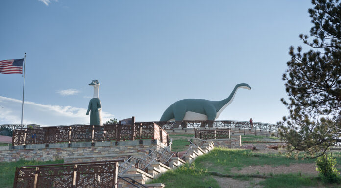 605 Spotlight // Dinosaur Park