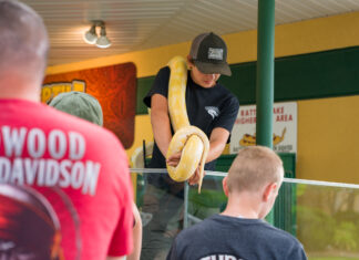 605 Spotlight // Reptile Gardens