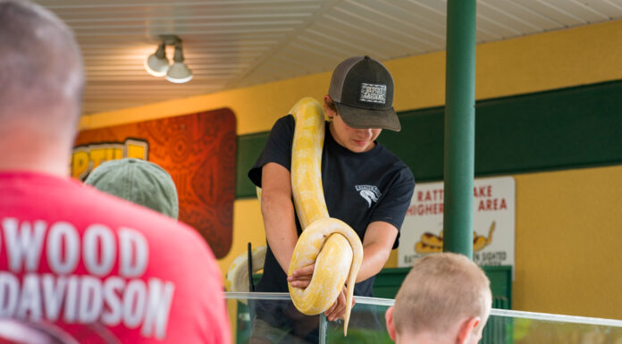 605 Spotlight // Reptile Gardens