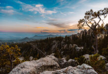 605 Spotlight // Custer State Park