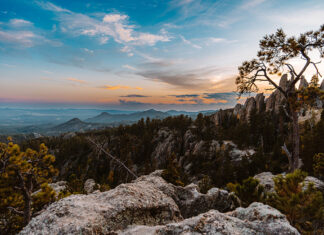 605 Spotlight // Custer State Park