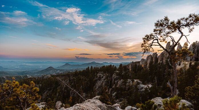 605 Spotlight // Custer State Park