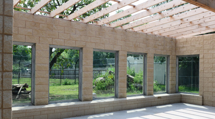 A Howling New Habitat at the Bramble Park Zoo