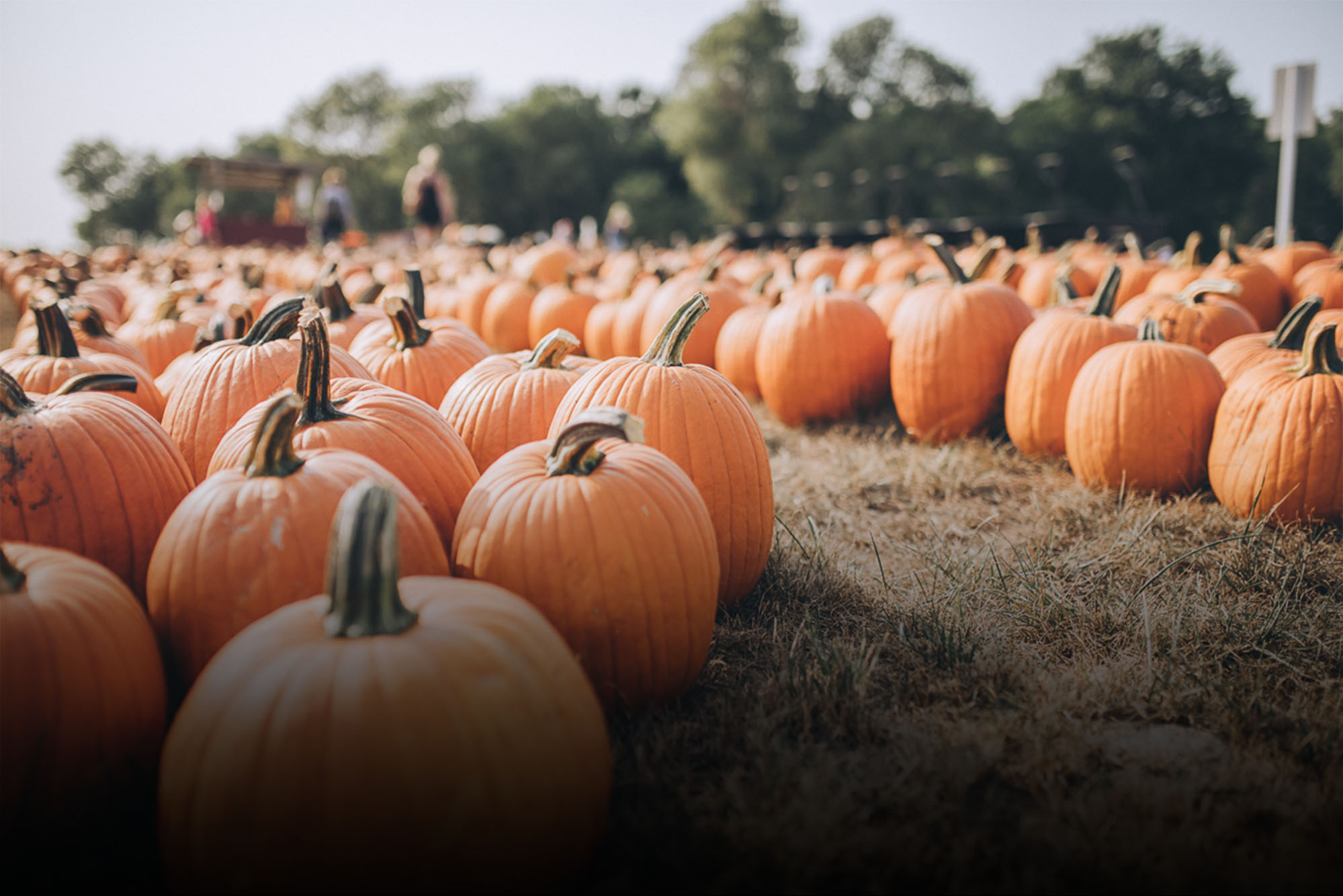 605 Roundup Fall Festivities